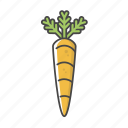 crops, carrot, vegetable, healthy, organic