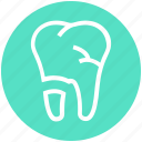 .svg, crack, dental teeth, dentist, stomatology, tooth