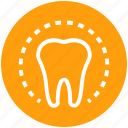 .svg, circle, dental, dentist, health, molar, tooth