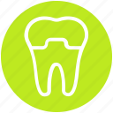 .svg, dental, dental protection, healthcare, protection, stomatology, tooth