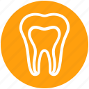 .svg, dental, dental treatment, dentist, oral health, stomatology, tooth