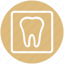 .svg, dental, dentist, stomatology, teeth, tooth