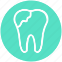 .svg, dental, dental care, dental repair, hygiene, stomatology, tooth