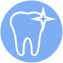 .svg, care, dental, dentist, shine, stomatology, tooth