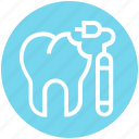 .svg, dental, dental treatment, dentist, dentistry, teeth, tooth