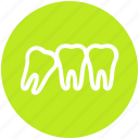 .svg, dental, dentist, stomatology, teeth, tooth