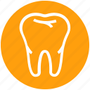 .svg, crack, dental teeth, dentist, stomatology, tooth