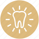 .svg, bright, dental, dental care, dentist, tooth, white tooth