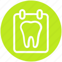 .svg, board, dental, list, stomatology, teeth, test