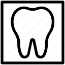 dental, dentist, stomatology, teeth, tooth