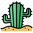 cactus, desert, nature, plant, green, ecology