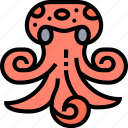 octopus, animal, underwater, aquarium, ocean