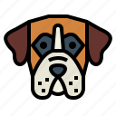 boxer, dog, pet, animals, breeds