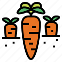 carrot, diet, food, vegetable