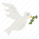 dove, pigeon, peace, bird, wing