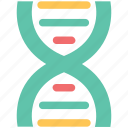 dna, dna chain, genetic information, molecule, nucleic acid