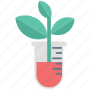 botany experiment, chemistry, experiment, lab research, laboratory, plant experiment, research