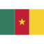 cameroon, ensign, flag, nation 