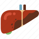 cancer, disease, hepatitis, infection, liver, liver cirrhosis, virus