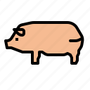 animal, food, ham, leg, pig, pork, restaurant