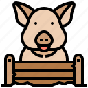 animal, farm, mammal, pig, piglet