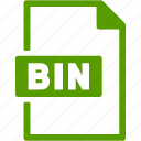 bin, file, format, document, extension