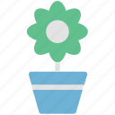 flower, flower pot, nature, plant pot, pot