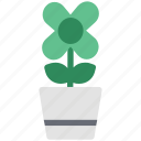 flower, flower pot, nature, plant pot, pot