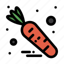 carrot, food, vegetable