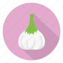 allium, eat, food, organic, vegetable