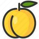 apricot, fruit, peach