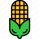 corn, food, vegetable