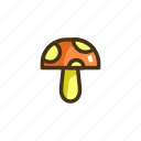 mushroom, shroom