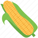 cob, corn, corncob, food, grain, maize, vegetable