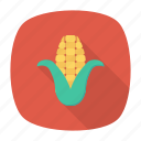 cob, corn, food, vegetable