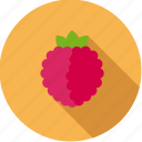 food, fruit, raspberry, red