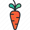 carrot, eat, food, gastronomy, healthy, vegetable