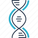 genetics, helix, gene, strand, dna, science