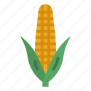 corn, sweet, plant, food, farming