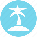 beach, coconut tree, holiday, palm, sea, summer, tree