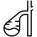 bile, cholescyst, gallbladder, organ, storage