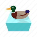 bird, cartoon, duck, fun, hunting, water, wild