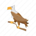 bald, bird, cartoon, eagle, independence, july, usa