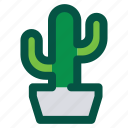 cactus, floral, flower, nature, plant, tree