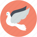 bird, dove, flying bird, love bird, peace sign