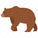 animal, bear, brown, grizzly, polar, wild, zoo