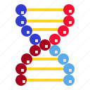 cell, chromosome, dna, molecule, science