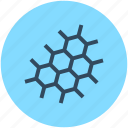 atom, biology, compound, molecule, science