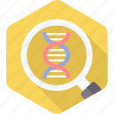 dna, genetic, genetics, genome, helix, molecule, science