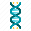 biology, dna, genetics, genome, molecule